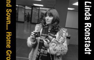 Linda Ronstadt - The Long Way Around