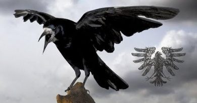 Schwarzer Engel — Vom Galgen tönt die Krähe
