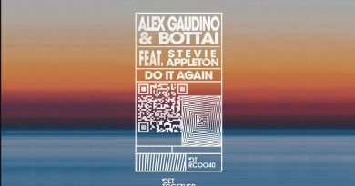 Alex Gaudino & Bottai, Stevie Appleton - Do It Again