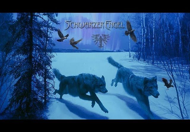 Schwarzer Engel — Wintertod