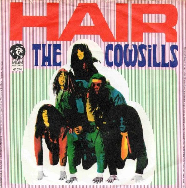 Cowsills - Hair