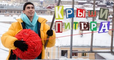 Фейгин - Крыши Питера