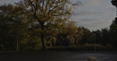 Jake Houlsby - Vondelpark