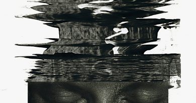 MASSFACE - The Fount