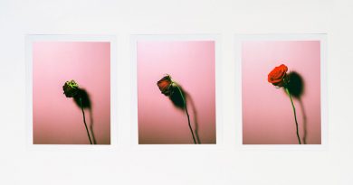 With Confidence - Jaded