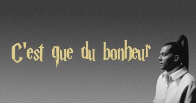 Stromae - C’est que du bonheur