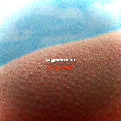 Глеб Калюжный, SHAKH - МУРАШКИ