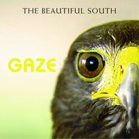 The Beautiful South - 101 per cent Man
