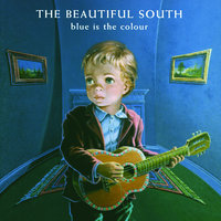 The Beautiful South - Artificial Flowers