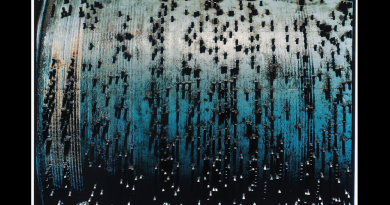 Placebo - Bubblegun