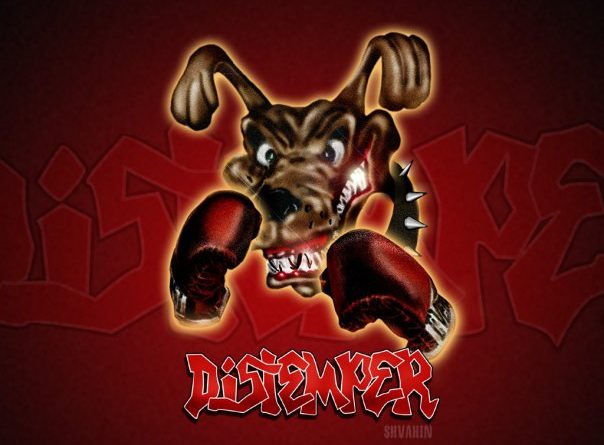 Distemper - В зеркалах моей надежды