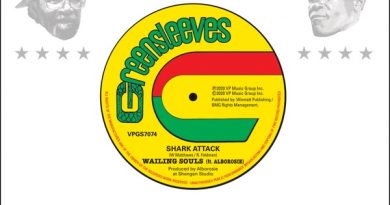 Wailing Souls - Baga Trouble