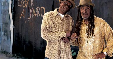 Wailing Souls - Move On