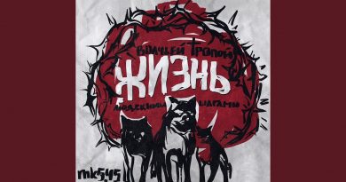 mk5.45 - Надо жить