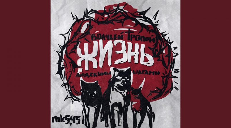 mk5.45 - снился рай