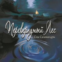 Сны Саламандры -Река забвения