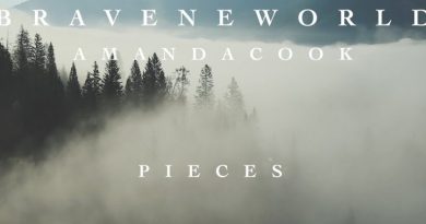 Amanda Cook - Pieces