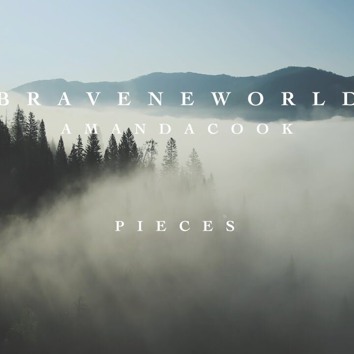 Amanda Cook - Pieces