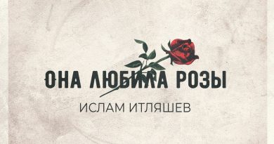 Ислам Итляшев - Доля