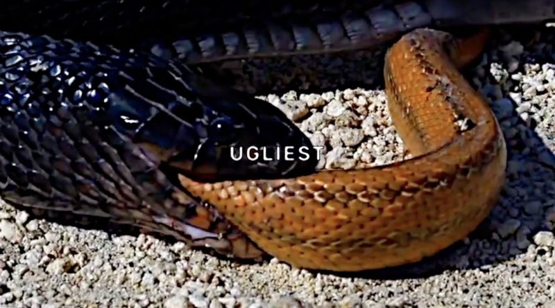$uicideBoy$ - Ugliest