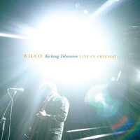 Wilco - Muzzle of Bees