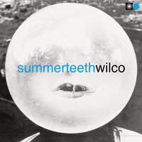 Wilco - How to Fight Lonliness