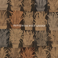 Iron & Wine - Talking to Fog