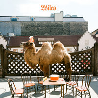 Wilco - Solitaire