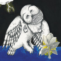 Songs: Ohia - John Henry Split My Heart