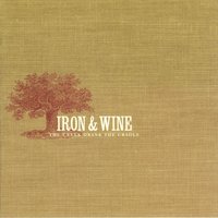 Iron & Wine - Promising Light