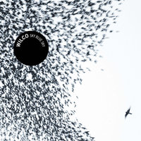 Wilco - The Thanks I Get