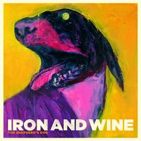 Iron & Wine - Lovesong of the Buzzard