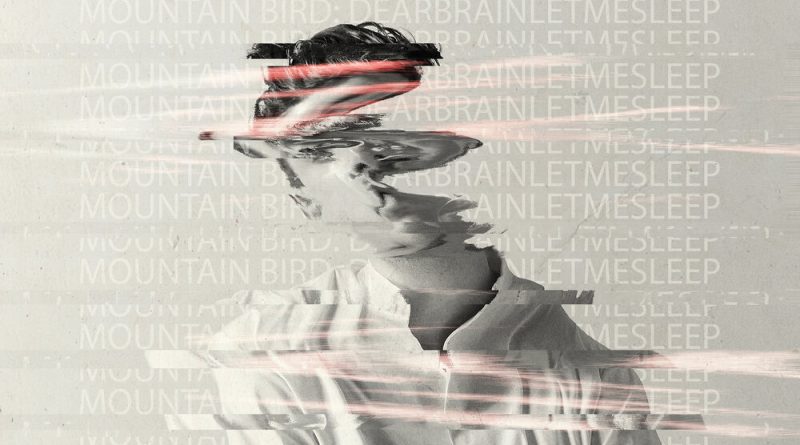 Mountain Bird - 5Years