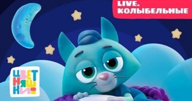 Цветняшки - Ночной кораблик