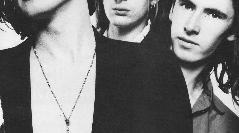 Suede - Black Or Blue