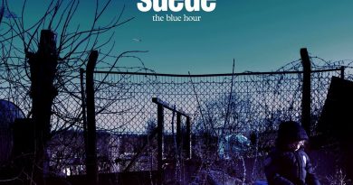 Suede - Colours