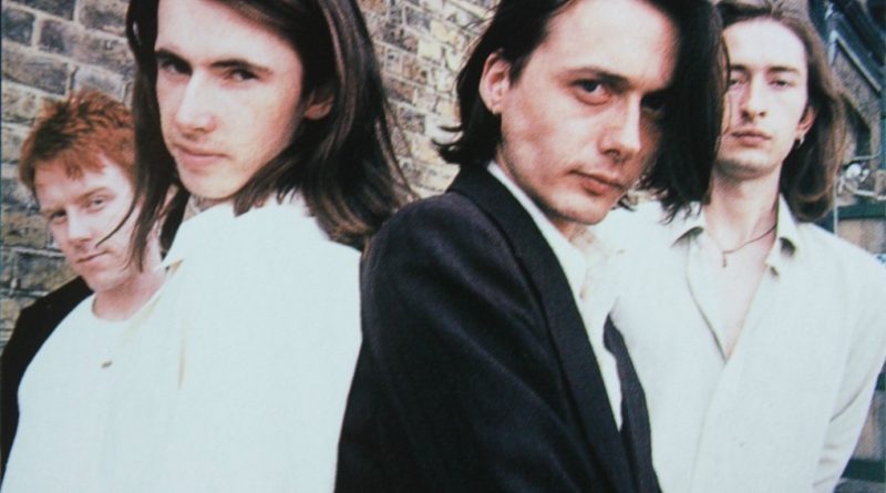 Suede - Sam