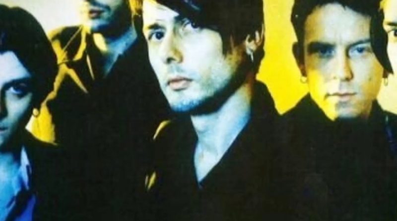 Suede - This Hollywood Life