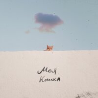 Never Get Used To People - Моя кошка