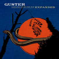 Guster - Lightning Rod