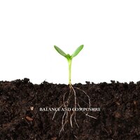 Balance and Composure - Burdens