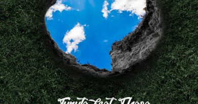 Turuta, Плага - Яма