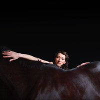 My Brightest Diamond - Golden Star