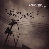 Shearwater - St. Mary's Walk