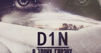 D1N - В твоих глазах целая жизнь