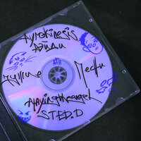 playingtheangel, pyrokinesis, РЭЙДИ, STED.D — чужие песни