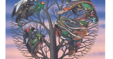 Talk Talk - New Grass