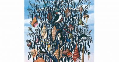 Talk Talk - Wealth