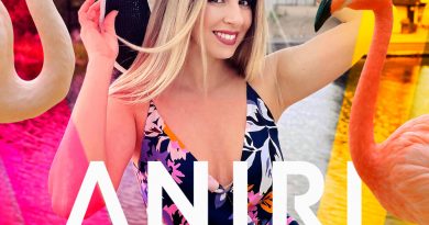 Анири - Love Lovi