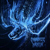 CARAPACEE — Колесо